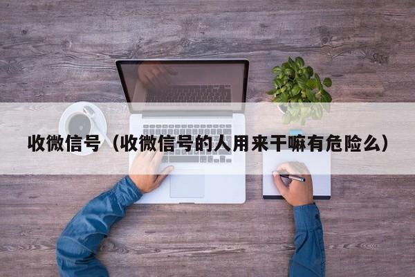 收微信号（收微信号的人用来干嘛有危险么）