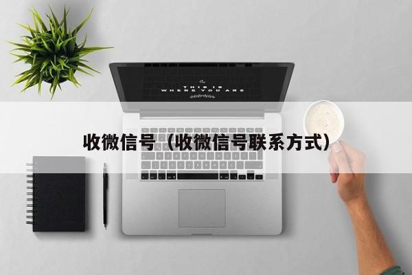 收微信号（收微信号联系方式）